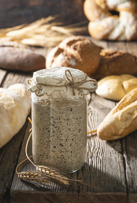 Azorean Sourdough Starter Recipe – A Taste of Portuguese Tradition from Oak Bluffs to New Bedford