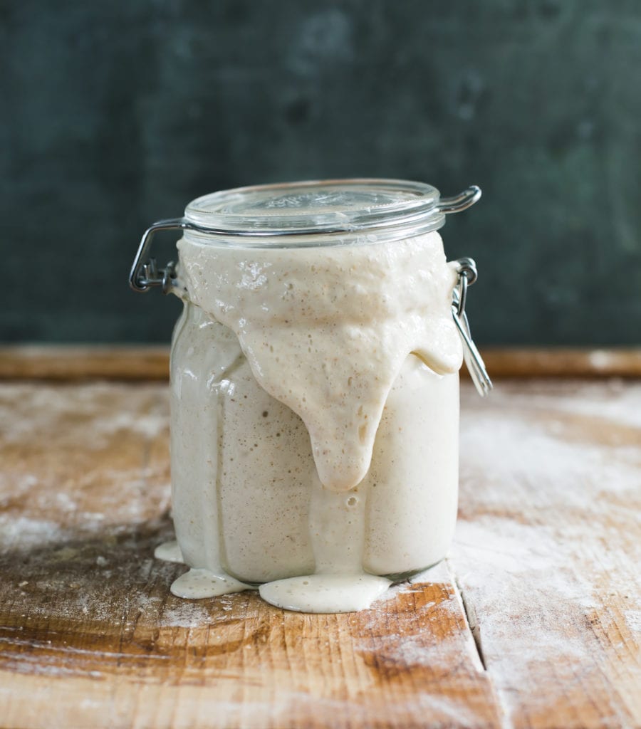 The Story Behind the Starter Sourdough Culture Rooted in Tradition