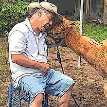 Hermey the Alpaca: Beyond the Gate