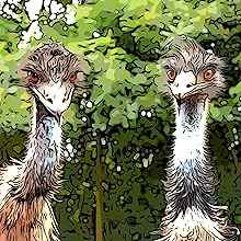 Hermey the Alpaca: Beyond the Gate